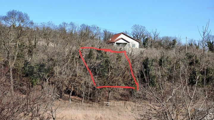 Участок 6 сот. (СНТ, ДНП)