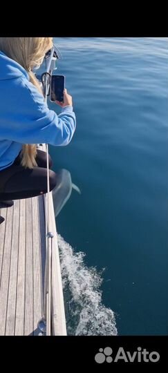 Аренда и прогулки на парусной яхте Океанис 50