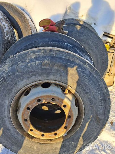 Cordiant Professional DR-1 295/80 R22