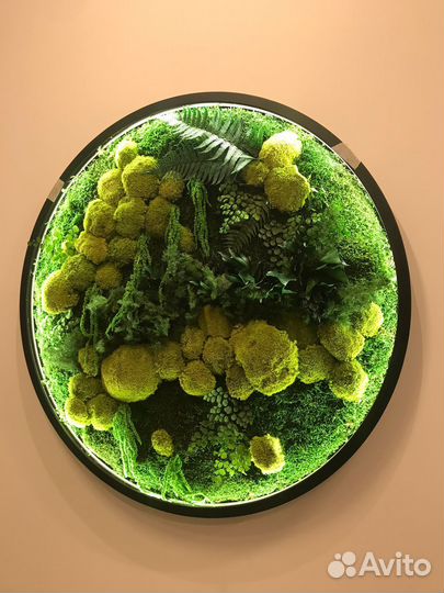 Оазис зелени: фитокартина Арт: 215777