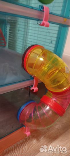 Клетка для грызунов бесплатно отдам