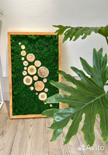 Панно стабилизированный мох/спилы