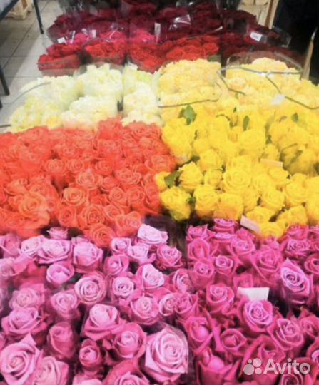 Цветы Оптом розы