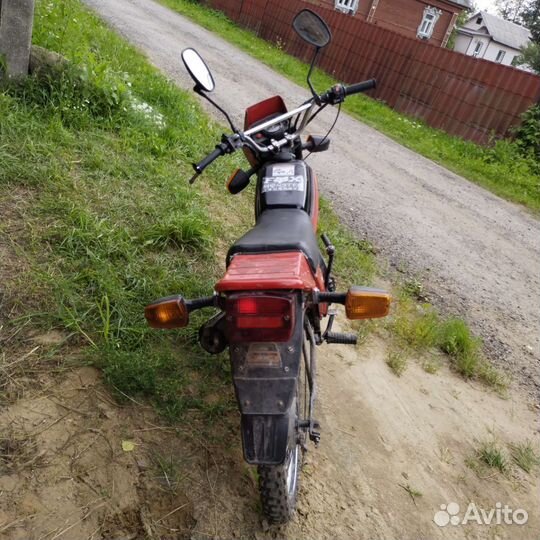 Зид пилот 50