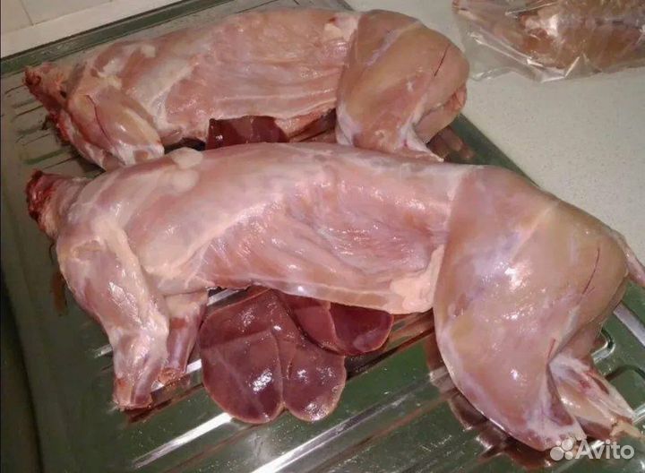Мясо кролика