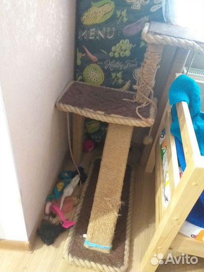 Когтеточка