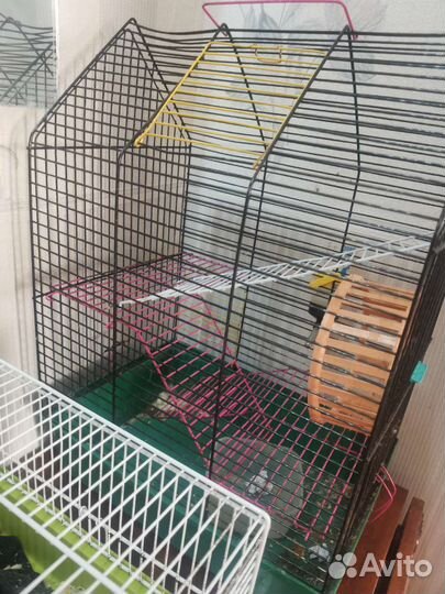 Клетка для грызунов бу