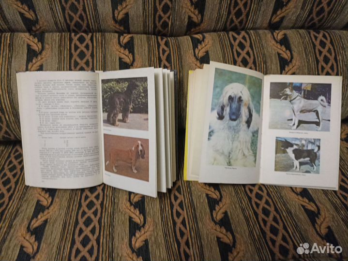 Книги о собаках