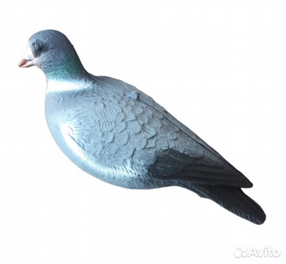 Голубь вяхерь чучело для охоты