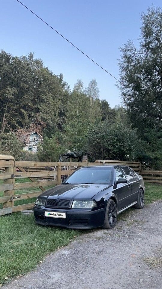 Skoda Octavia: фото владельца