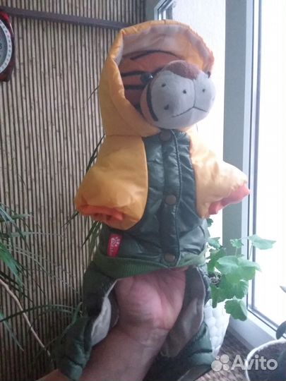 Костюм для маленькой собачки очень классный