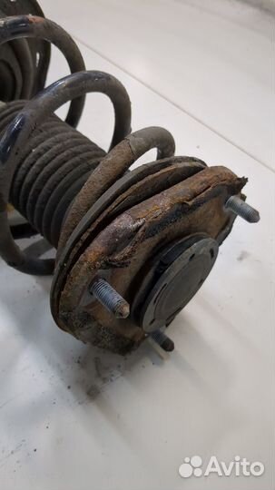 Амортизатор подвески левый передний Toyota Verso, 2010