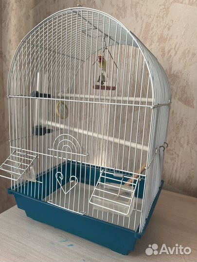 Клетка для попугая