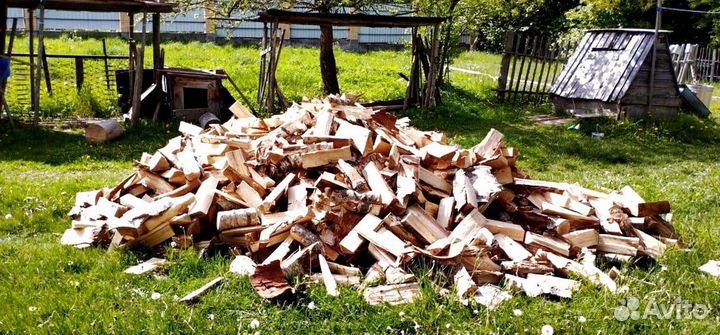 Дрова сухие навалом