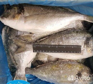 Дорадо (сухая заморозка)