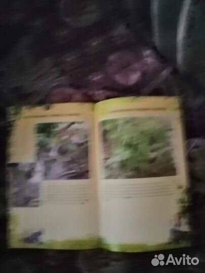 Как проще всего прививать виноград