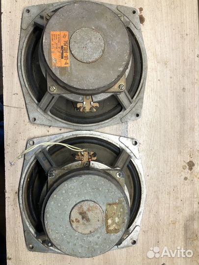 Нч динамики 75гдн