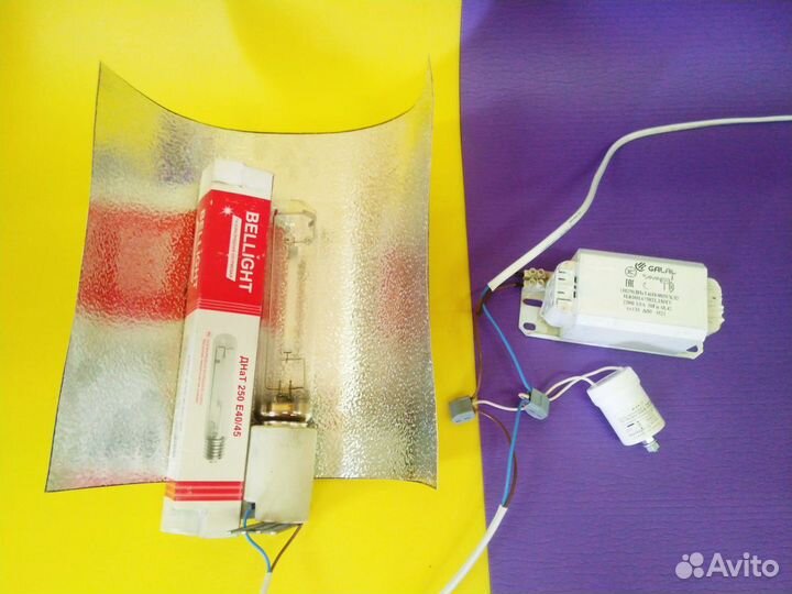 Комплект днат 250 ват с лампой на выбор