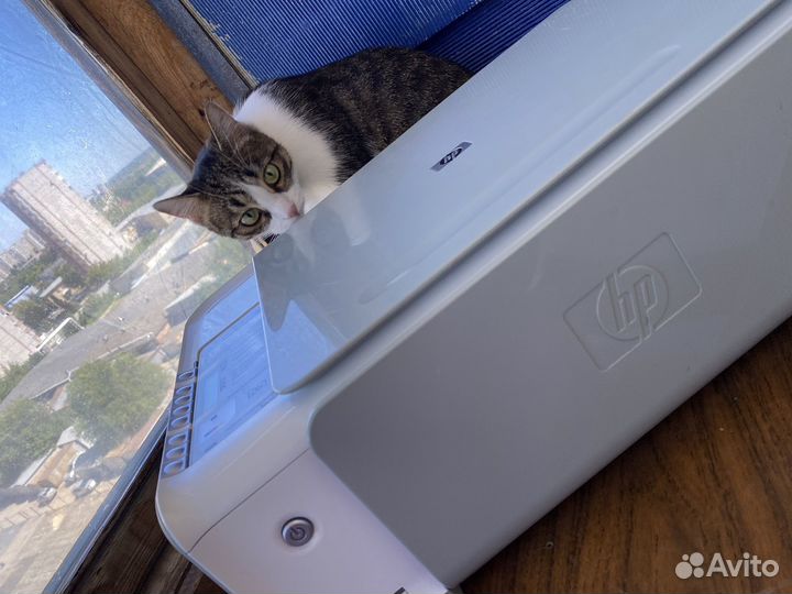 Принтер сканер копир hp photosmart c3183