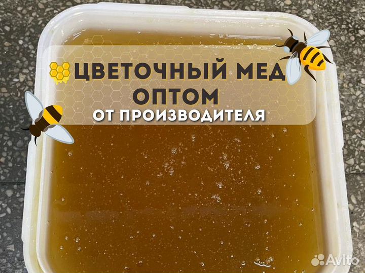 Свежий мёд оптом Цветочный Опт