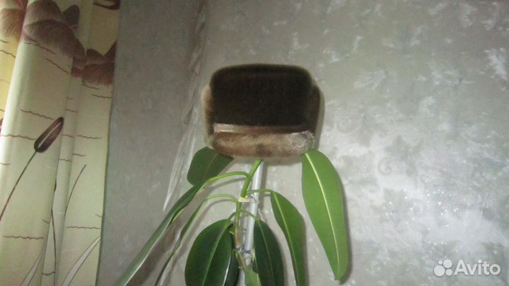Продам новую мужскую шапку из нерпы