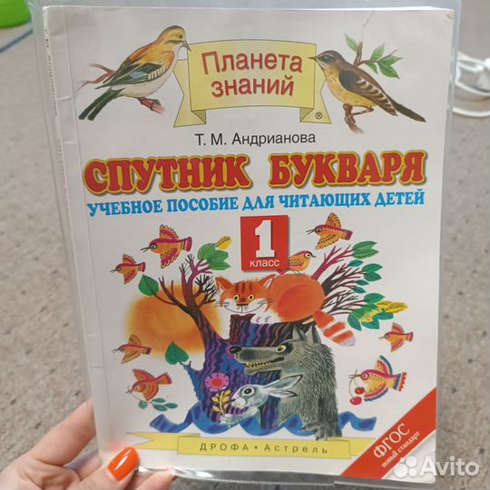 Спутник букваря андрианова