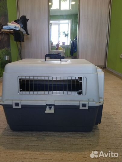 Переноска для собак