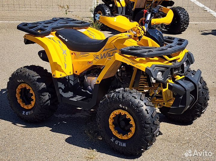 MotoLand ATV 125 wild X (балансирный вал)