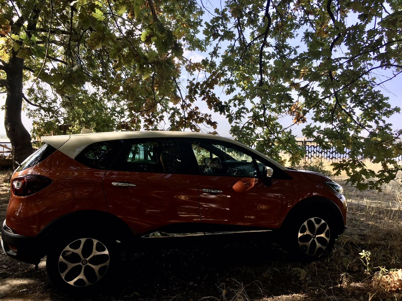 Renault Kaptur: фото владельца