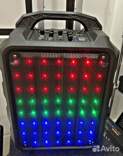 Портативная акустическая система Leem PR6