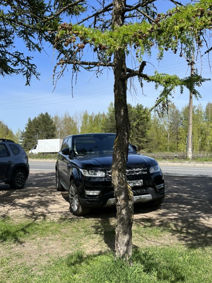 Land Rover Range Rover Sport: фото владельца