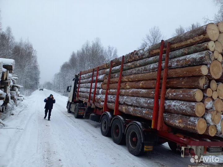 Лес кругляк строевой