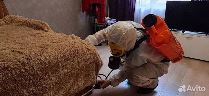 Дезинфекция Уничтожение тараканов клопов насекомых