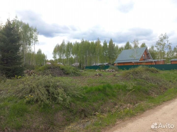 Спил деревьев, Расчистка участков