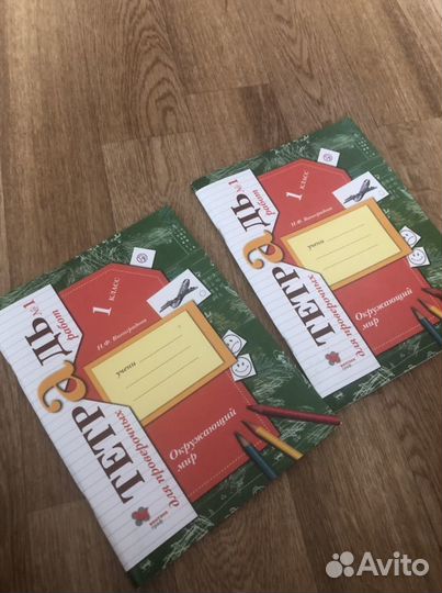 Рабочая тетрадь окружающий мир 1 класс