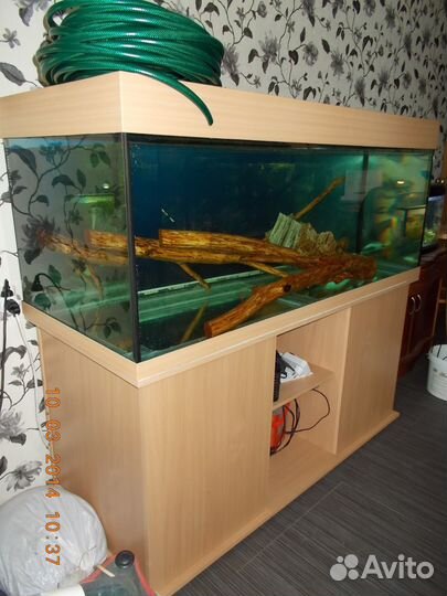 Аквариум