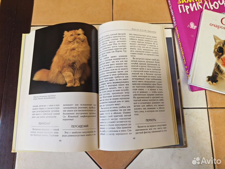 О кошках 3шт