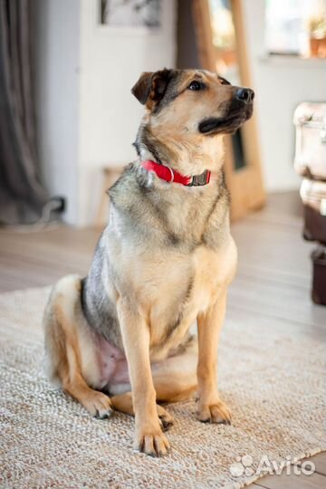 Муся ждёт свою семью