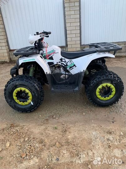 Avantis Hunter 8 new