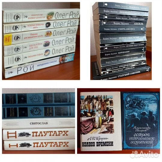 Книги Олег Рой, Борис Акунин