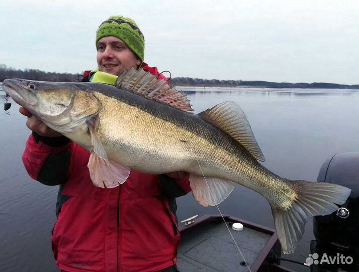 Рыбалка на Рыбинском водохранилище