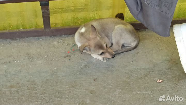 Помогите найти дом