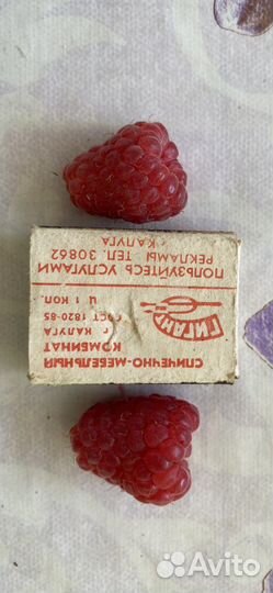 Рассада малины