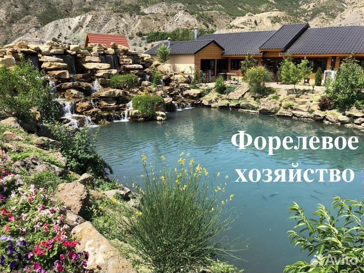 Тур в Дагестан
