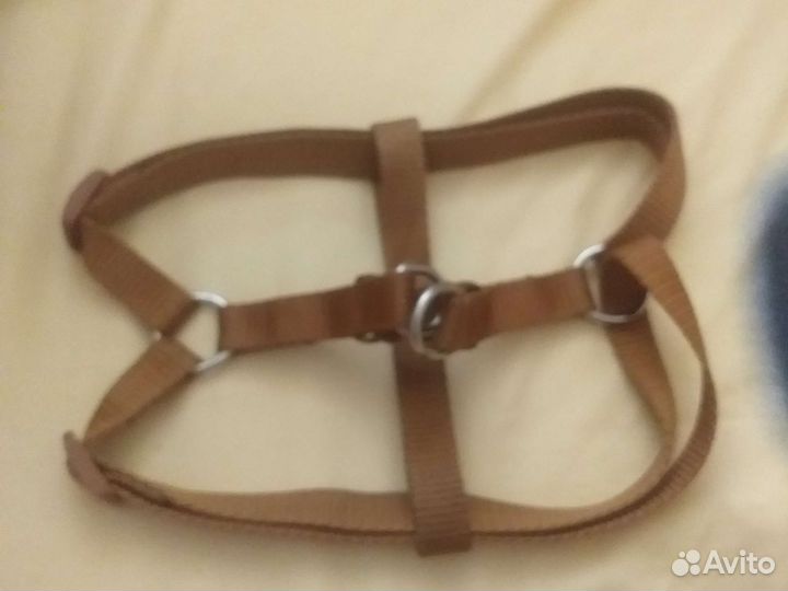 Продам шлейку на маленькую собаку
