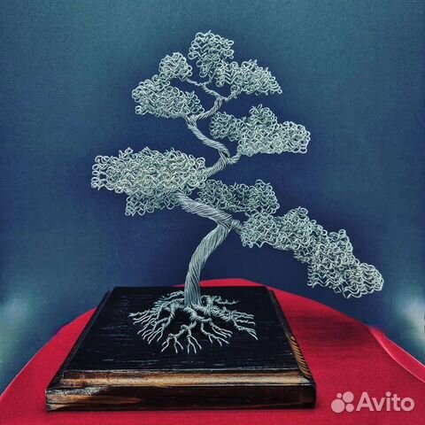 Дерево бонсай