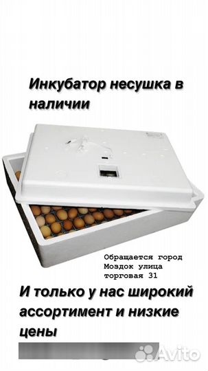 Инкубатор
