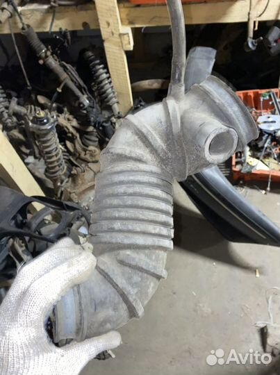 Гофра Mitsubishi carisma