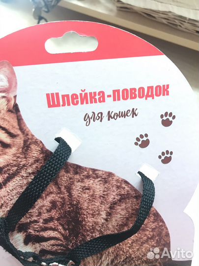 Шлейка для кошки