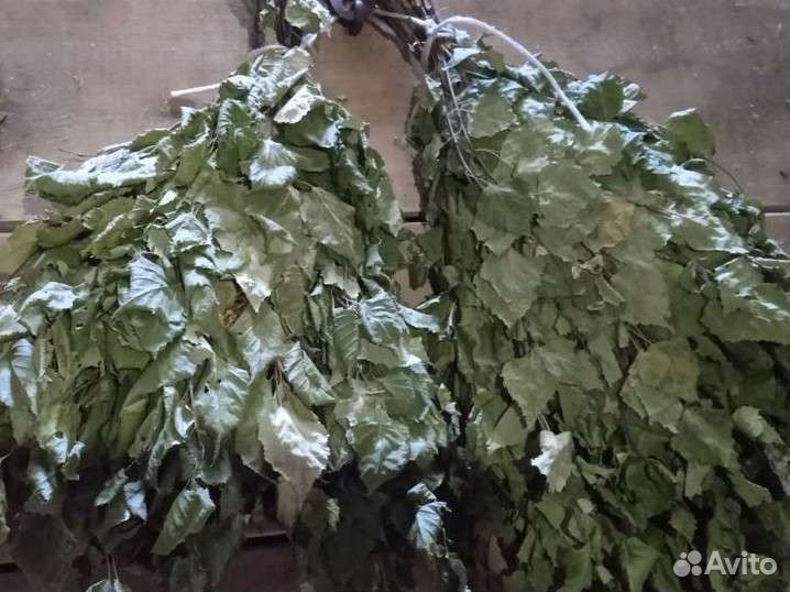 Веники для бани